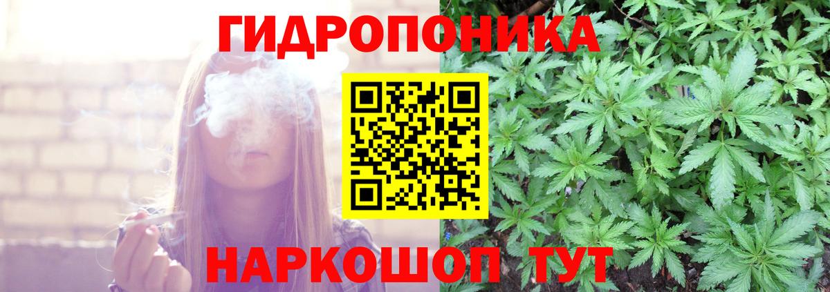 Бошки Шишки гибрид Прокопьевск